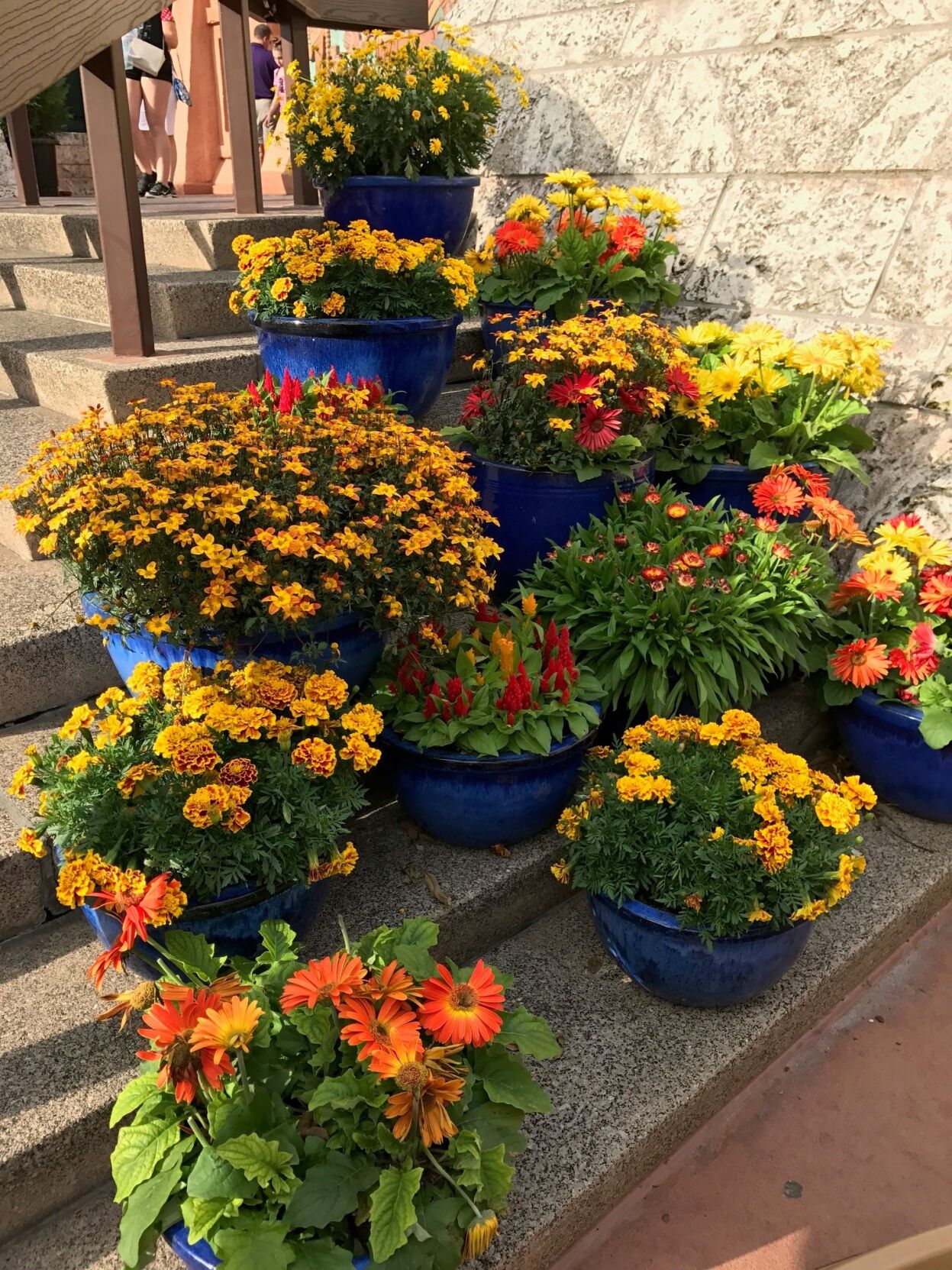 Grouping of colorful pots and assorted plants